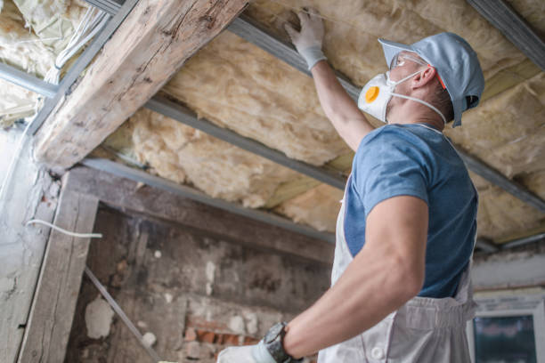Best Professional Insulation Contractor  in Lordship, CT